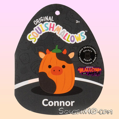 Squishmallows 8-Inch Select Series Pumpkin Connor Mallow Mash 2024